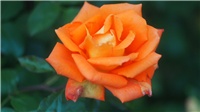 630fa123-Picture 171.jpg
